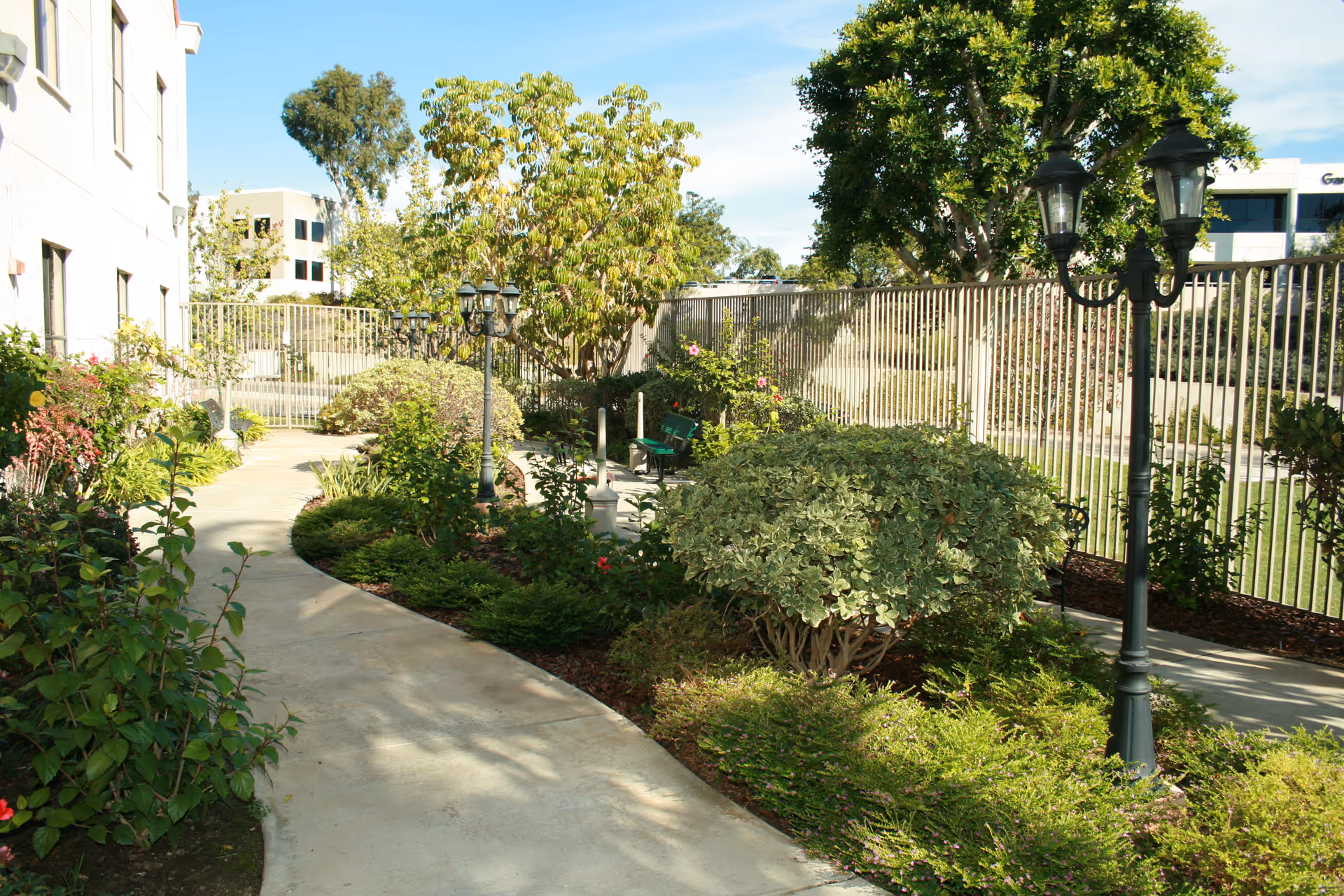 A sunny outdoor garden area with a curved concrete pathway surrounded by green bushes, flowering plants, and trees. There are black vintage-style street lamps along the path and a metal fence enclosing the garden. Buildings are visible in the background under a clear blue sky.