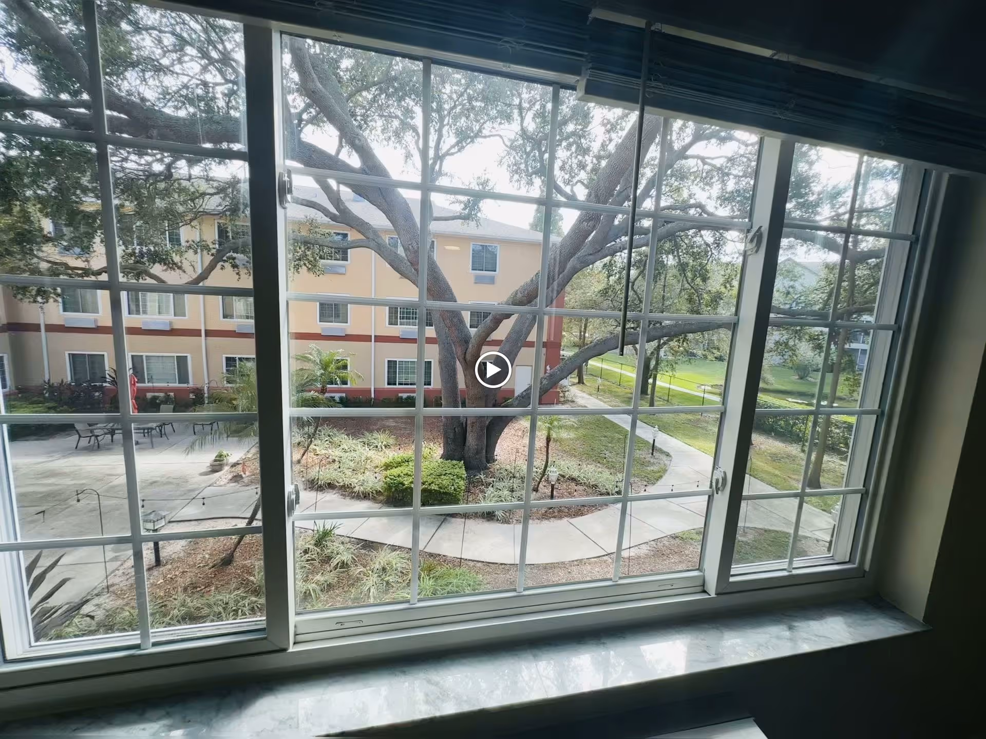 View through a multi-pane window onto a courtyard with a large tree, winding walkways, and an adjacent building.
