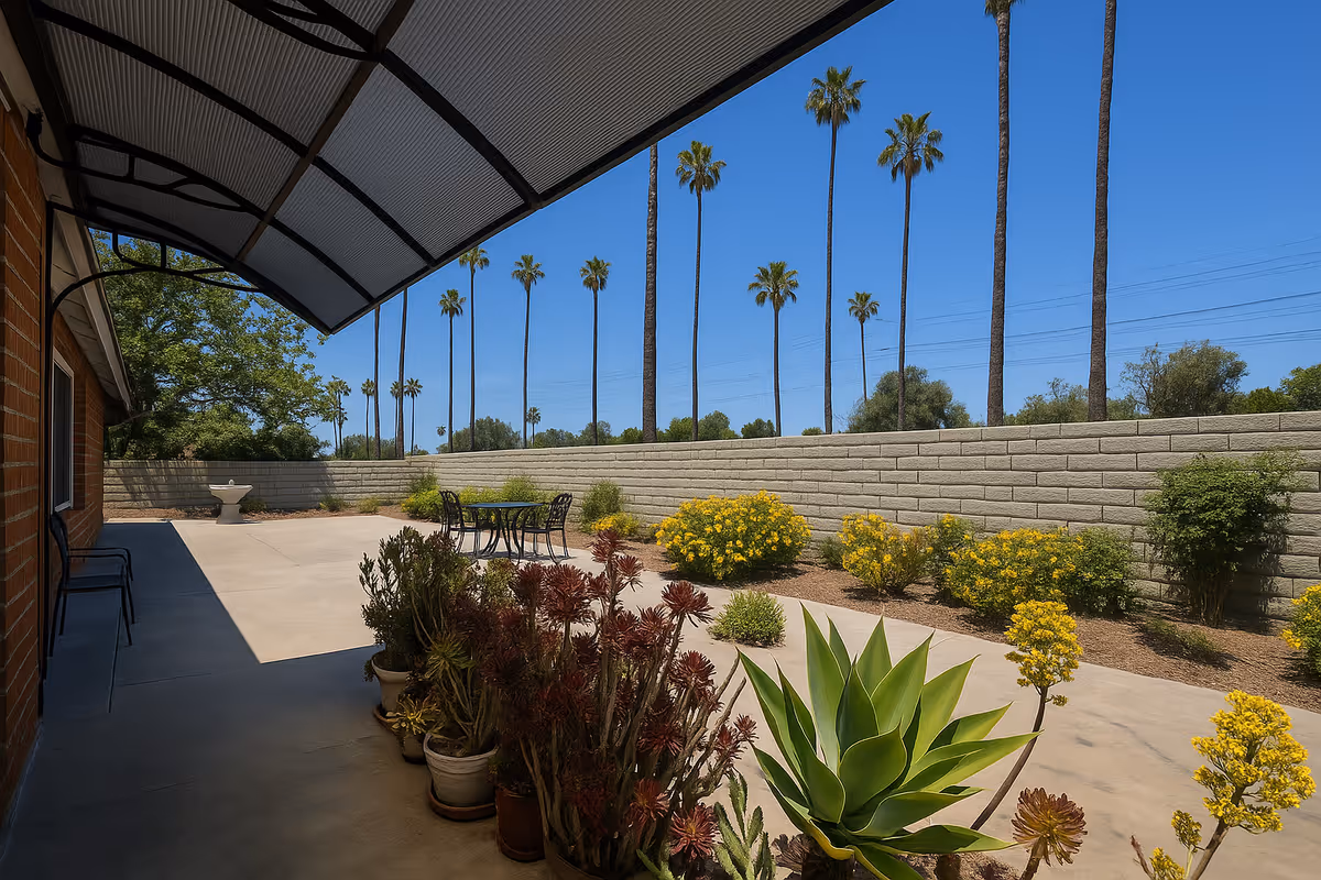Sunlit outdoor patio with potted succulents, a metal table and chairs, a low block wall, and tall palm trees against a clear blue sky.
