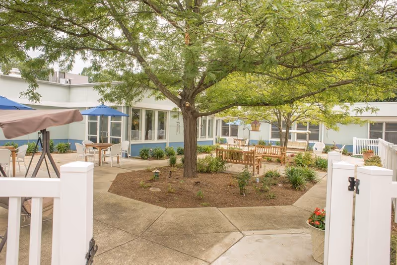 Outdoor courtyard area with a large tree in the center surrounded by benches, plants, and paved walkways. There are tables with umbrellas and chairs around the courtyard, adjacent to a light-colored building with multiple windows.