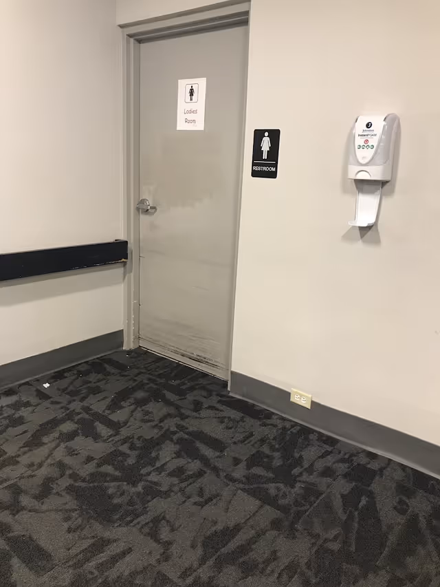A gray door labeled 'Ladies Room' with a female restroom sign next to it on a beige wall. There is a wall-mounted hand sanitizer dispenser to the right of the door and a patterned dark carpet on the floor.