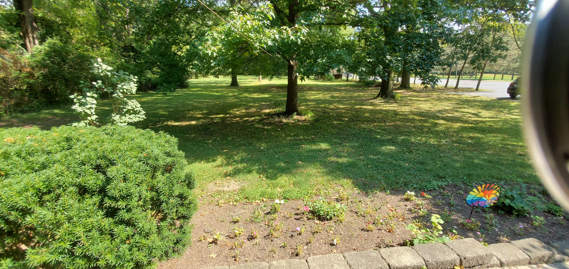 A grassy outdoor area with several trees providing shade. In the foreground, there is a small garden bed with young plants and a colorful pinwheel decoration. A paved edge borders the garden bed, and a parking lot with a few cars is visible in the background.