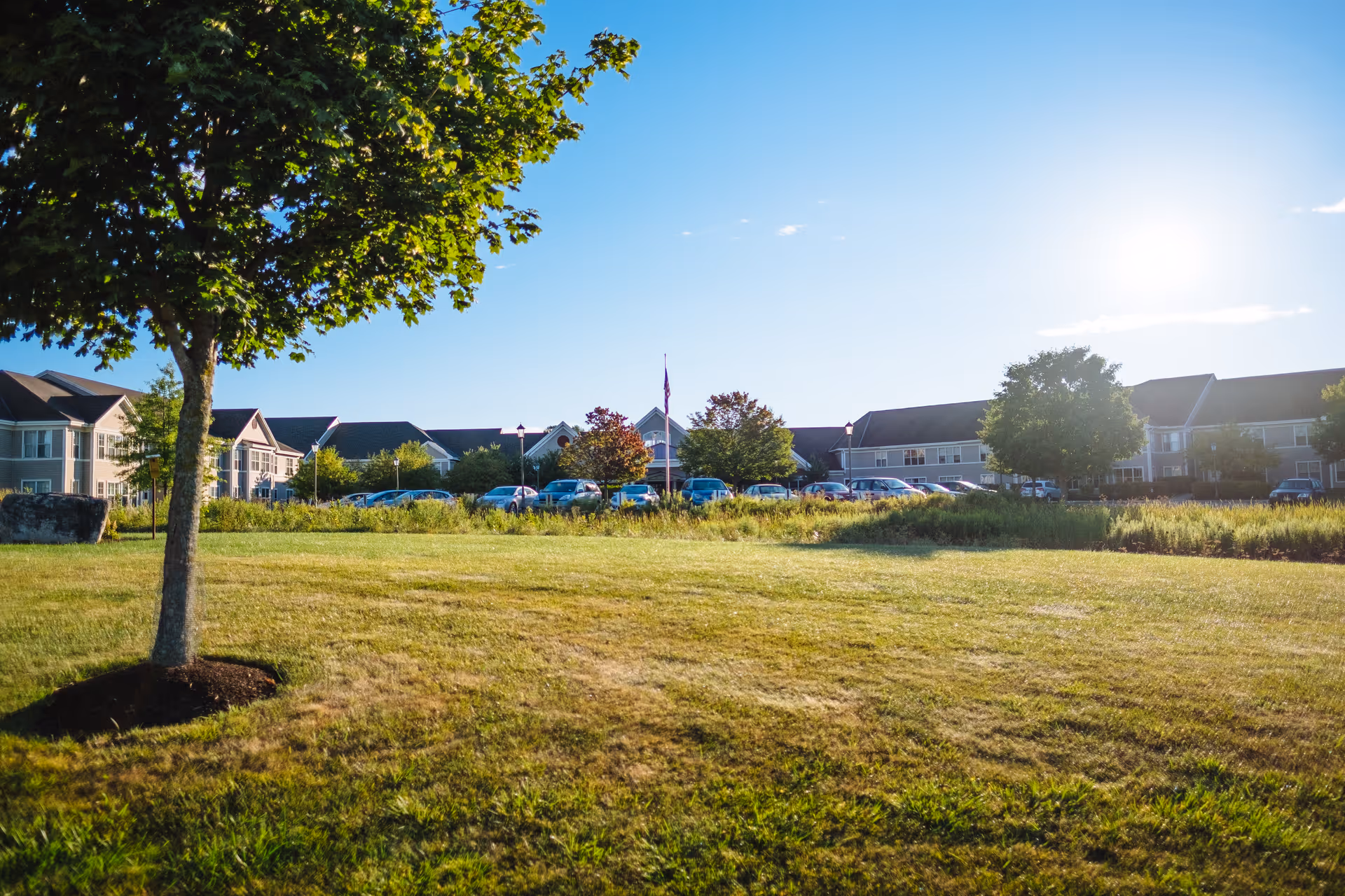 A sunny outdoor view of The Glen at Hiland Meadows senior living facility showing a large grassy lawn with a tree in the foreground, several parked cars, and the building in the background under a clear blue sky.