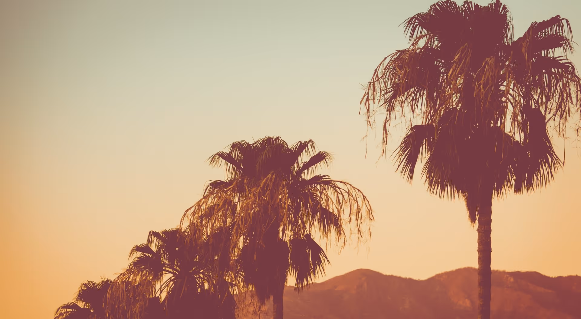 Tall palm trees silhouetted against a warm, orange sunset sky with mountains in the background.