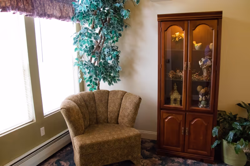 A cozy corner of a room featuring a patterned upholstered armchair next to a tall wooden display cabinet with glass doors containing decorative items. There is a large leafy green plant behind the chair and another plant in a pot on the floor to the right. The room has beige walls and three tall windows with blinds and a valance.