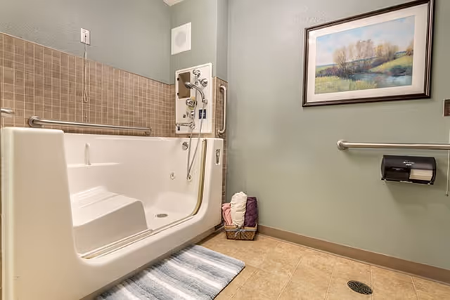 Accessible bathroom with a walk-in bathtub featuring a built-in seat and handrails. The walls are painted light green with a section of brown tiles behind the tub. A framed landscape painting hangs on the wall above a grab bar and a mounted toilet paper dispenser. A striped bath mat is placed on the tiled floor next to the tub, and a basket with folded towels is in the corner.