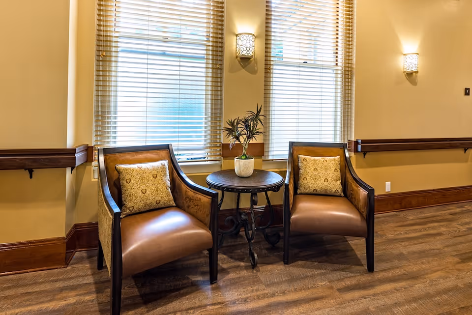Two upholstered chairs with patterned pillows flank a small round table holding a potted plant in front of two large windows with blinds.