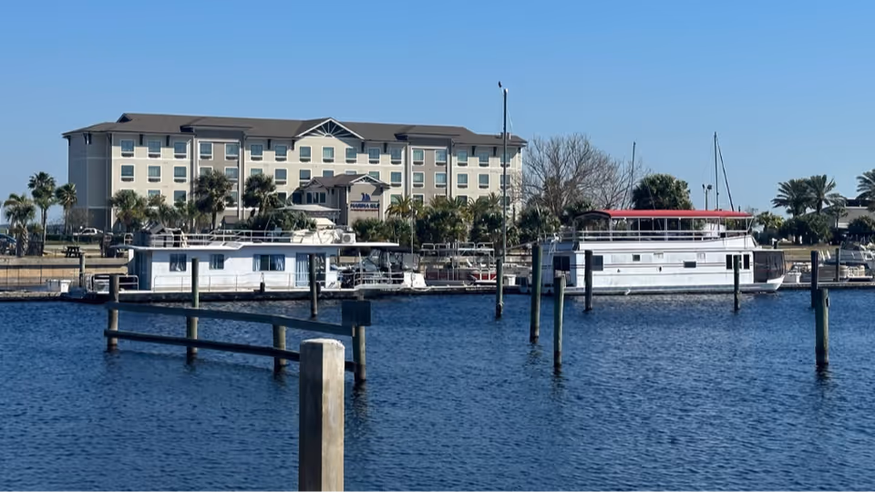 View of a waterfront with boats docked in the water and a multi-story building in the background surrounded by palm trees under a clear blue sky.