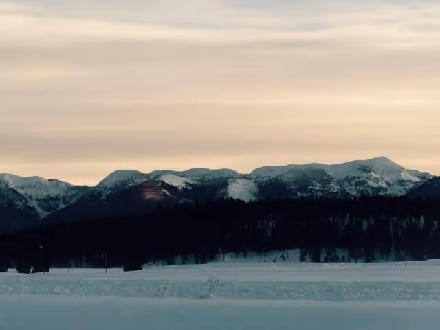 Snow-covered mountain range under a cloudy sky with a snow-covered field and dark forest in the foreground.