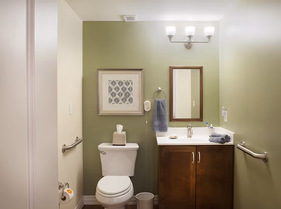 A small bathroom with light green walls featuring a white toilet with a tissue box on top, a wooden vanity with a white countertop and a sink, a mirror above the sink, a blue hand towel hanging on a ring, a soap dish, a toothbrush holder with toothbrushes, and two grab bars on the walls for support.