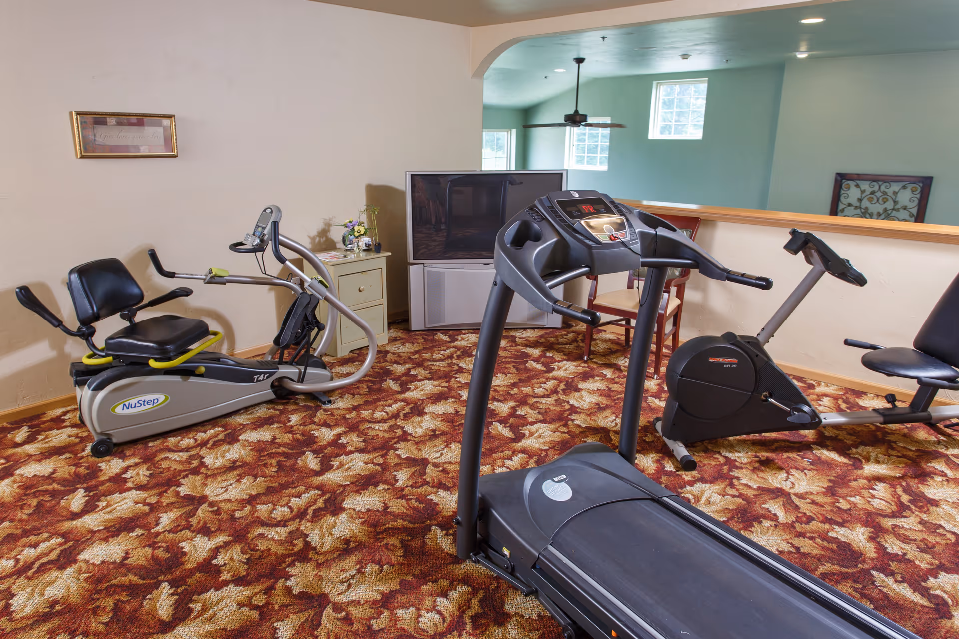 A small exercise room with a treadmill, a recumbent exercise bike, and a NuStep seated elliptical machine on a patterned carpet. There is a TV on a stand against the wall, a small cabinet with a flower vase, and a chair near a half wall with a view into another room with windows and a ceiling fan.
