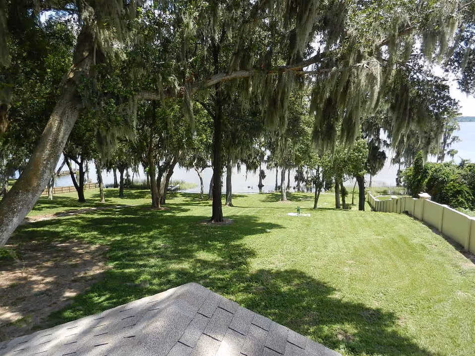 A grassy outdoor area with several trees draped with Spanish moss, overlooking a body of water in the background. There is a beige fence on the right side and a small section of a rooftop visible in the foreground.