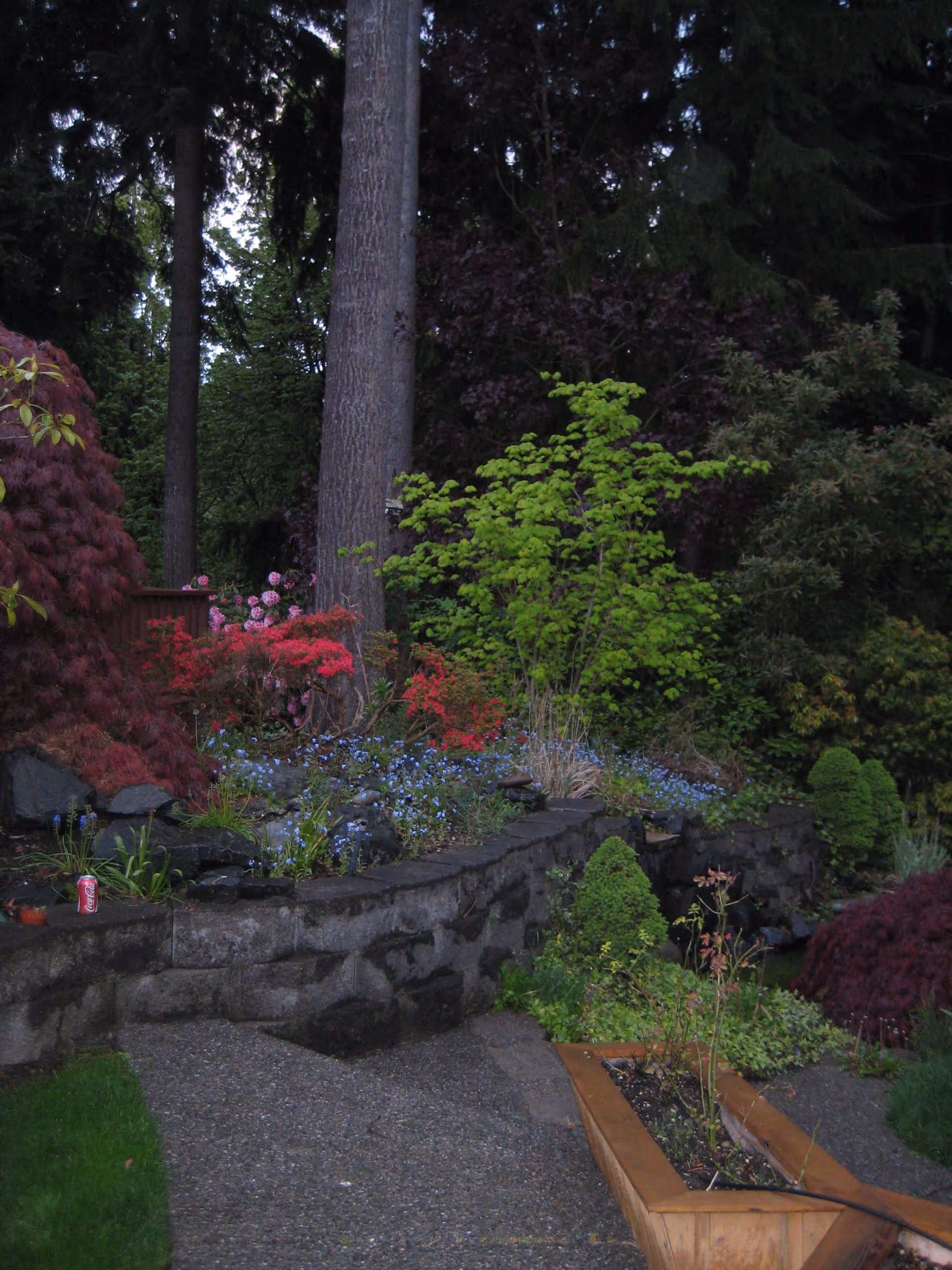 A garden area with a stone retaining wall, various green shrubs, colorful flowers including red and purple blooms, tall trees in the background, and a wooden planter box in the foreground. A can of Coca-Cola is placed on the stone wall.