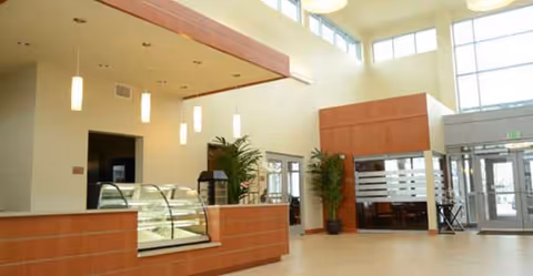 Spacious interior area with a wooden counter featuring a glass display case, pendant lights hanging from the ceiling, large windows allowing natural light, potted plants, and a glass door entrance.