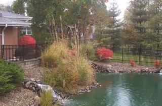 A serene outdoor garden area with a small pond surrounded by rocks and various plants, including tall grasses and bushes with red foliage. Trees and a black metal fence are visible in the background along with part of a building.