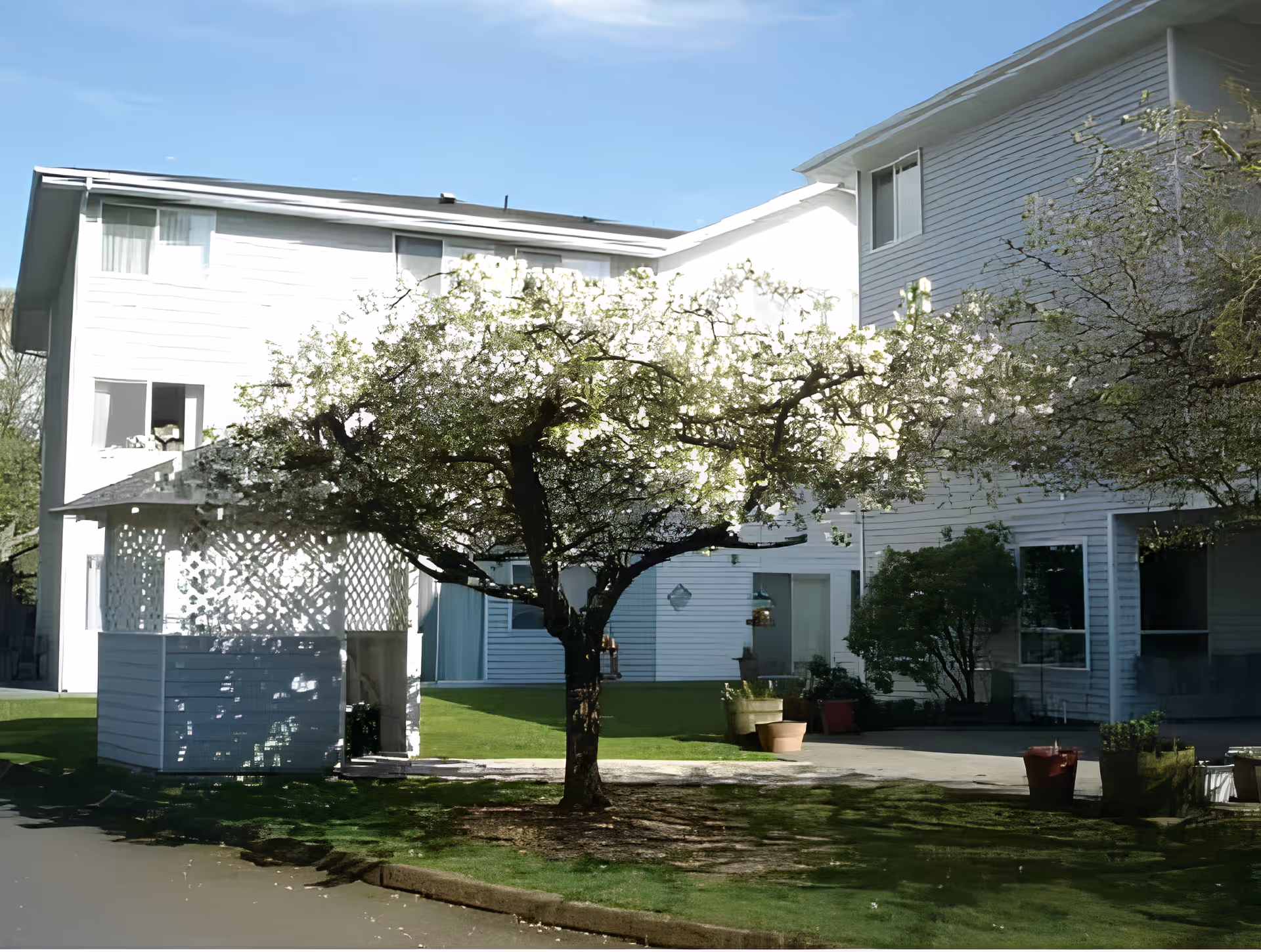 Courtyard of a senior living facility with a flowering tree, a white lattice gazebo, and a multi-story white building in the background.