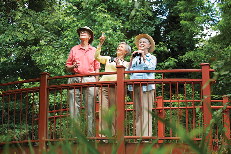 Three elderly people standing on a red metal bridge surrounded by lush green trees. One man in a pink shirt and hat is looking up, a woman in a yellow sweater is pointing at something in the sky, and another woman in a light blue shirt and straw hat is holding binoculars.