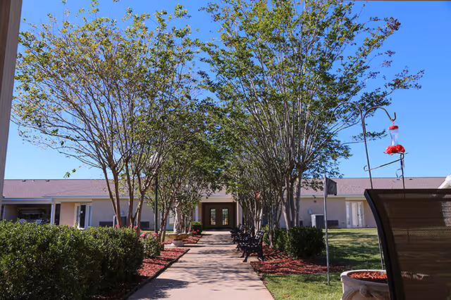 Tree-lined walkway with benches leading to the entrance of a single-story building under a clear blue sky.