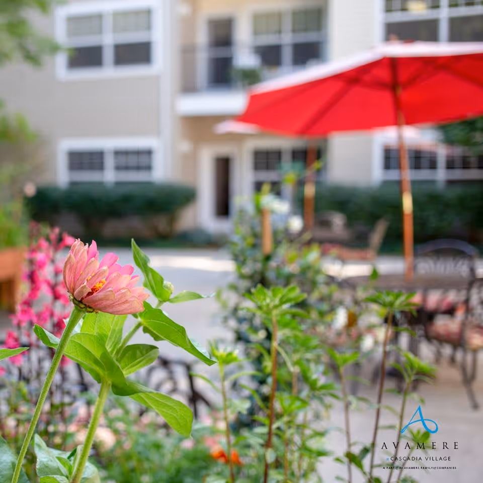 Close-up of a pink flower in a garden area with green leaves and other plants, with a blurred background showing outdoor patio furniture and a red umbrella in front of a beige building with windows.