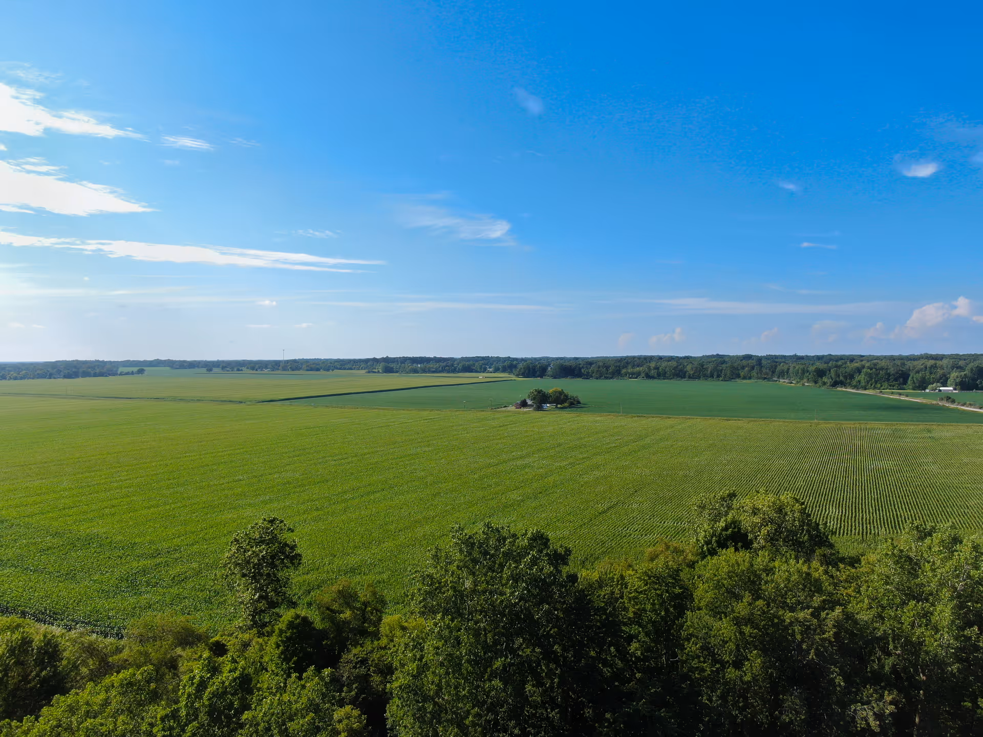 A wide view of expansive green fields under a bright blue sky with scattered clouds, bordered by a line of trees in the distance and some trees in the foreground.