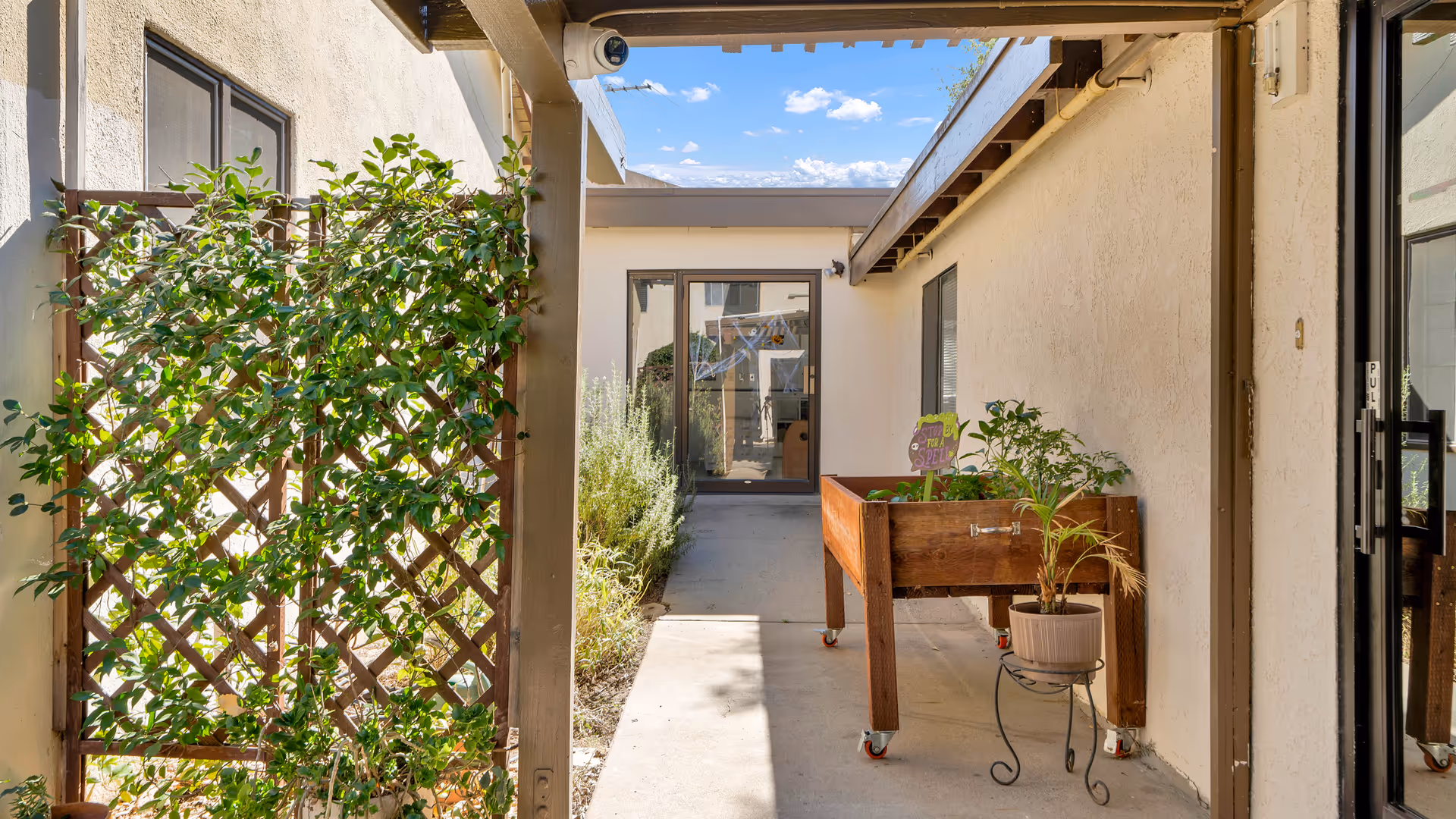 A covered outdoor walkway with a trellis covered in green vines on the left side and a raised wooden planter with plants on the right side. The walkway leads to a glass door at the end, with a clear blue sky and some clouds visible above.