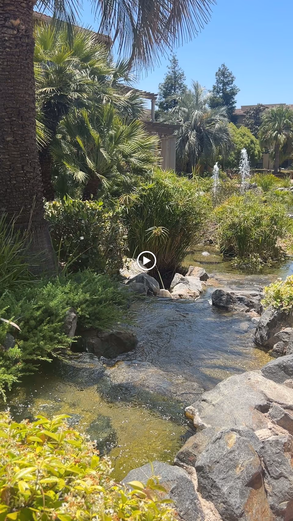 A serene outdoor garden area with a small stream flowing over rocks, surrounded by lush green plants and palm trees. In the background, there are water fountains and some buildings partially visible under a clear blue sky.
