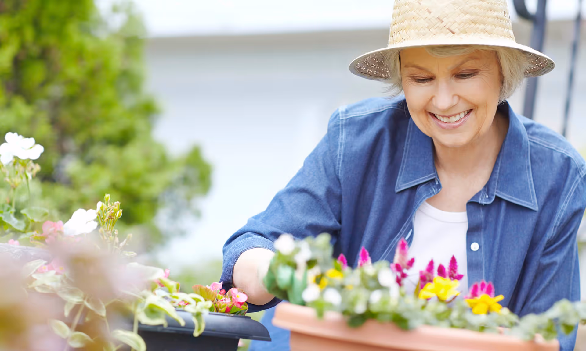An elderly woman wearing a straw hat and denim shirt smiles while gardening, tending to colorful flowers in pots outdoors.