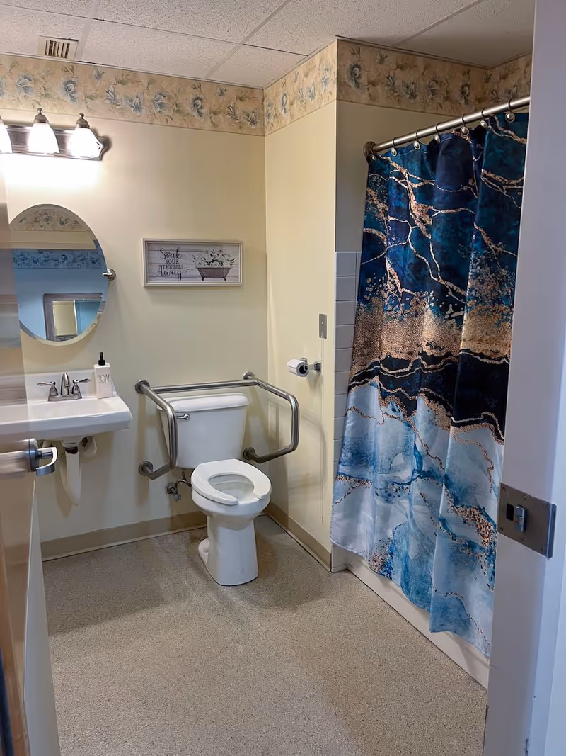 A bathroom with a toilet equipped with safety grab bars, a sink with a soap dispenser, an oval mirror, a wall-mounted light fixture, a decorative picture frame, and a shower with a blue and beige patterned curtain.