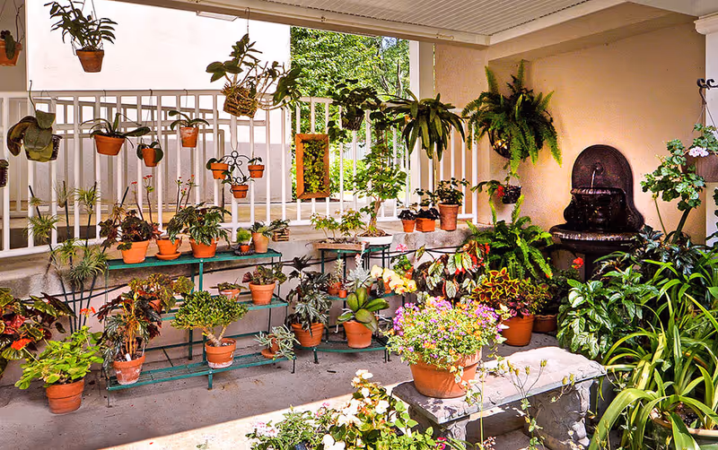 Indoor garden area with numerous potted plants arranged on shelves, hanging from a white railing, and placed on the floor. There is a decorative water fountain on the right side and a stone bench in the foreground. The space is well-lit with natural light coming through large windows.