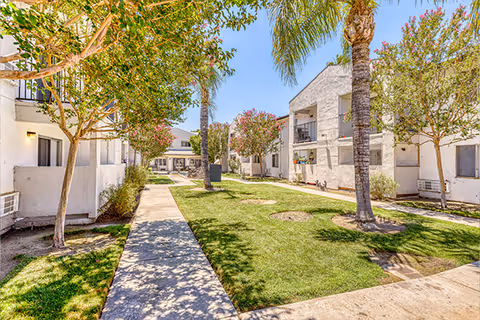 Sunlit courtyard with a paved walkway, green lawn, palm trees and white two-story apartment buildings with balconies.