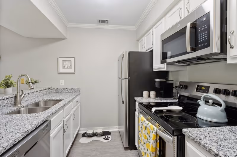 A modern kitchen with white cabinets and granite countertops. The kitchen features a stainless steel refrigerator, microwave, and dishwasher. There is a black electric stove with a light blue kettle on it and a white cooking utensil resting on the stove. A coffee maker and three small containers are on the counter next to the stove. On the floor, there is a dog feeding station with two bowls on a paw-shaped mat. A small framed artwork hangs on the light gray wall above the counter, and two small potted plants are placed near the sink.