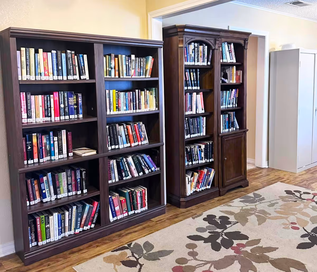 Two dark wooden bookshelves filled with books in a room with light-colored walls, wood flooring, a floral patterned rug, and a white storage cabinet in the background.