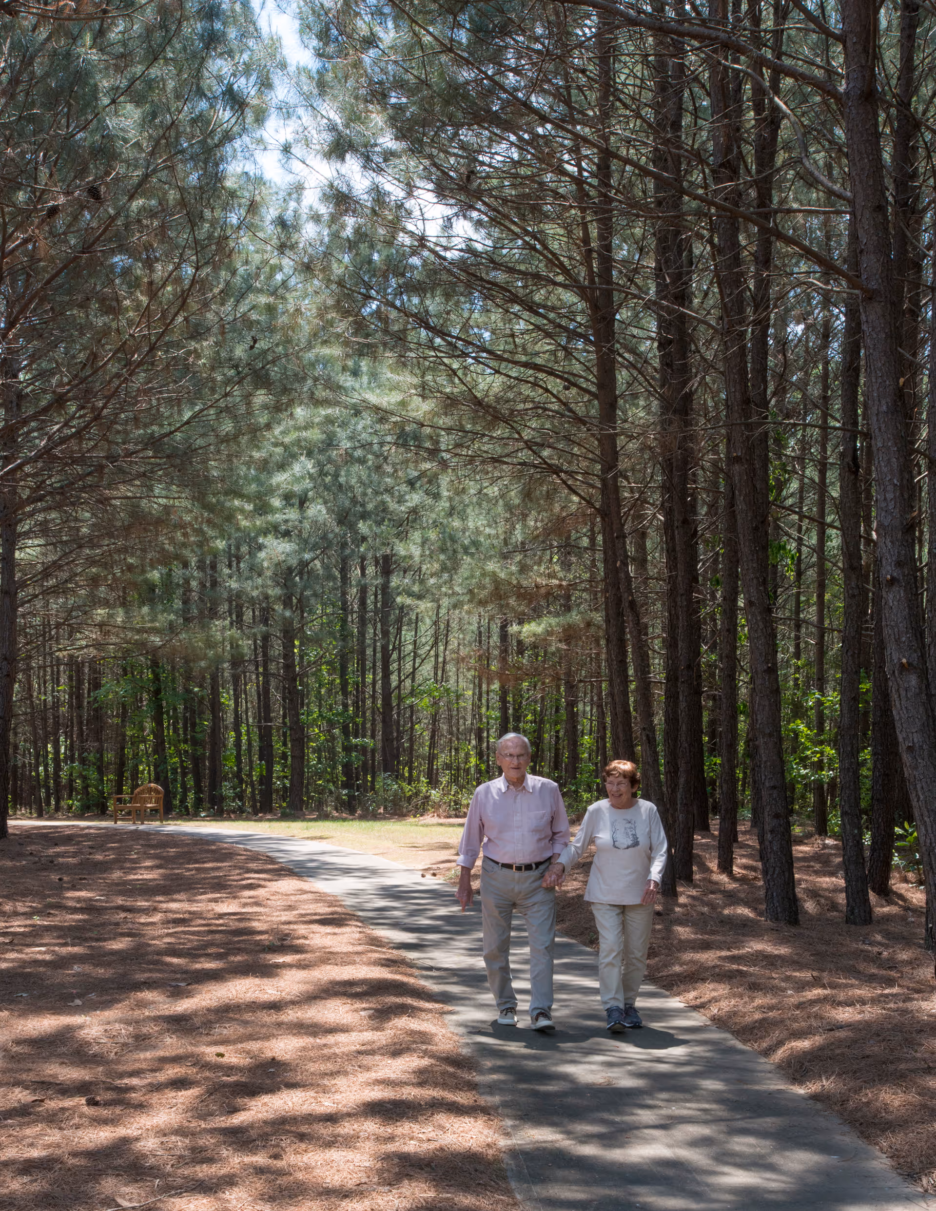 An elderly couple walking hand in hand on a paved path through a wooded area with tall pine trees and sunlight filtering through the branches.