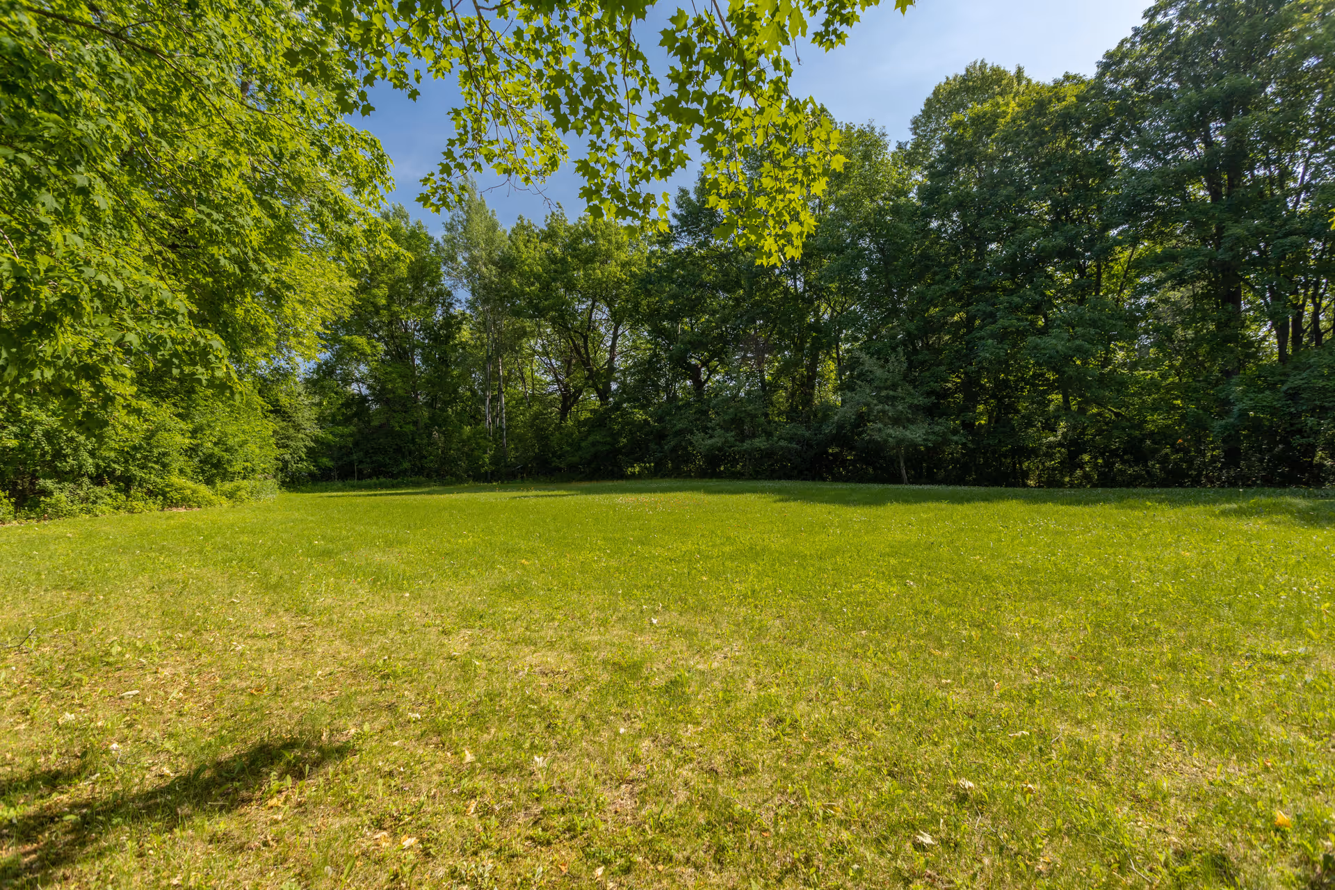 A grassy open field surrounded by dense green trees under a clear blue sky with some sunlight filtering through the leaves.