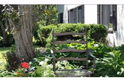A wooden chair placed in a garden area with lush green plants and a large tree next to a white building with black window shutters.