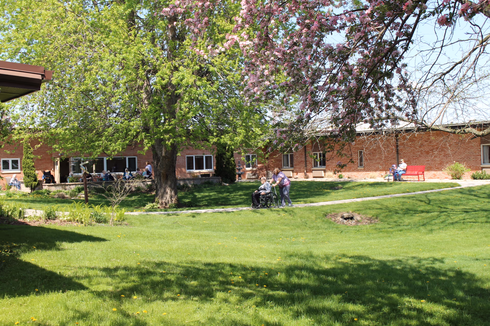 Outdoor garden area at Allure of Mendota with green grass, a large tree with green leaves, and a tree with pink blossoms. Several people are visible, including one person in a wheelchair being pushed by another, and others sitting on benches near a brick building in the background.