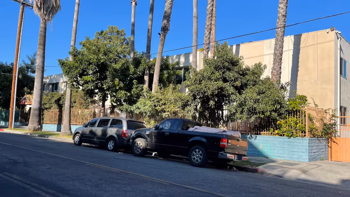 Exterior view of a beige two-story building partially obscured by tall palm trees and dense green foliage. Two vehicles, a black pickup truck and a gray minivan, are parked along the street in front of the building. The sky is clear and blue.