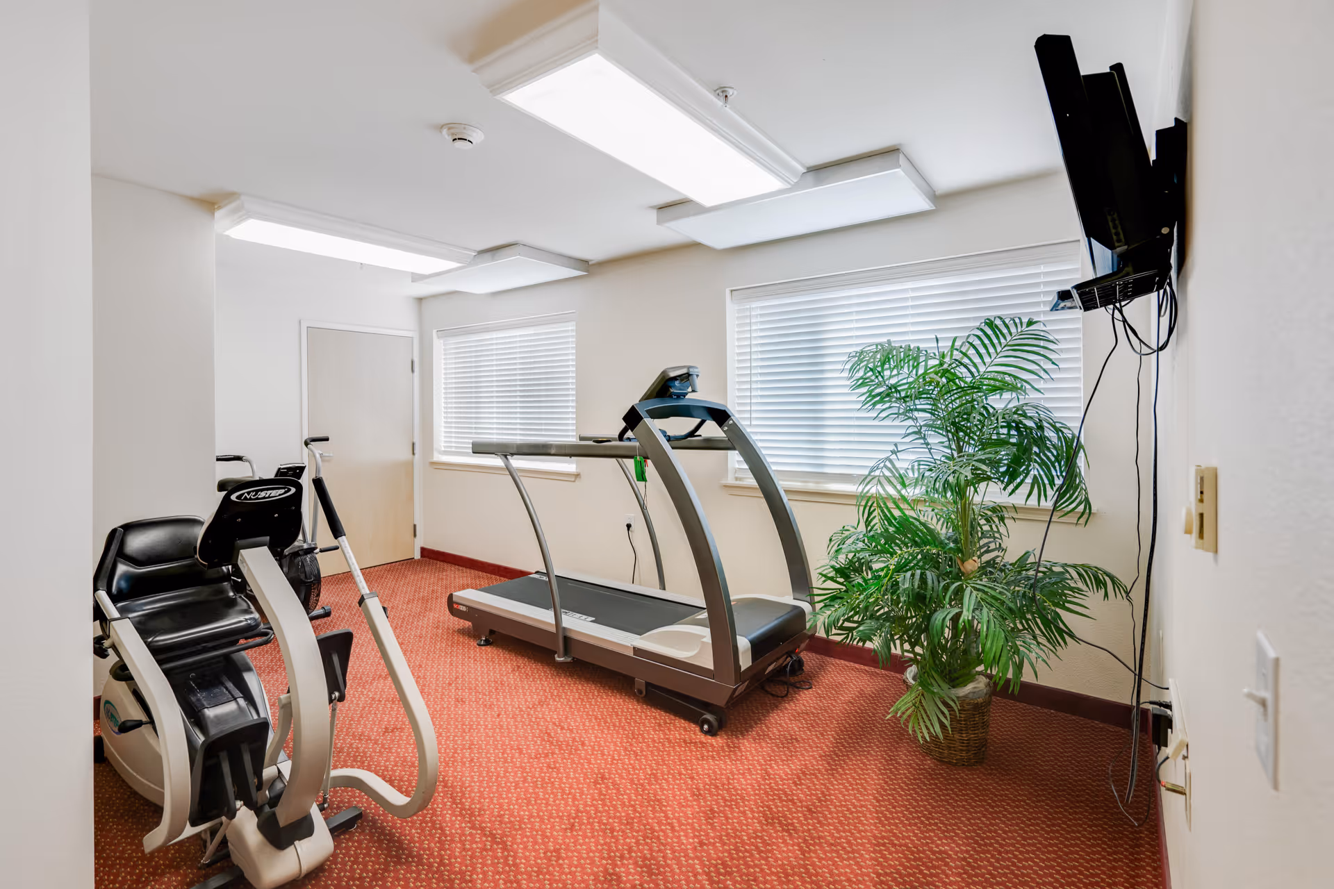 A small exercise room with a treadmill and a stationary bike on a red carpeted floor. There are two windows with white blinds, a large green potted plant near the treadmill, and a wall-mounted TV with visible cables. The walls are white and the ceiling has rectangular fluorescent lights.