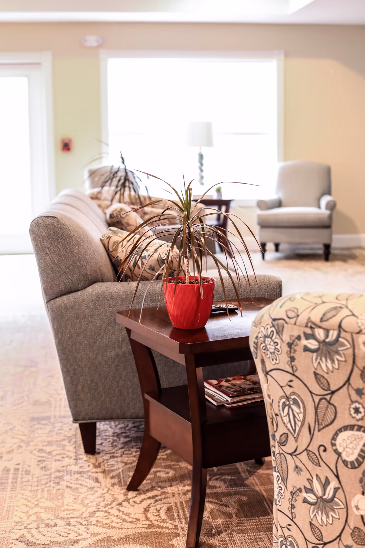 A cozy living room area with a gray sofa, a wooden side table holding a red potted plant and a remote control, patterned armchairs, a beige carpet with intricate designs, and a window with bright natural light in the background.