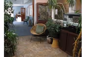 Indoor hallway area with a mix of tile and carpet flooring, featuring various green plants, a round chair with a cushion, a fish tank on a cabinet, and a view into a room with additional seating and furniture.