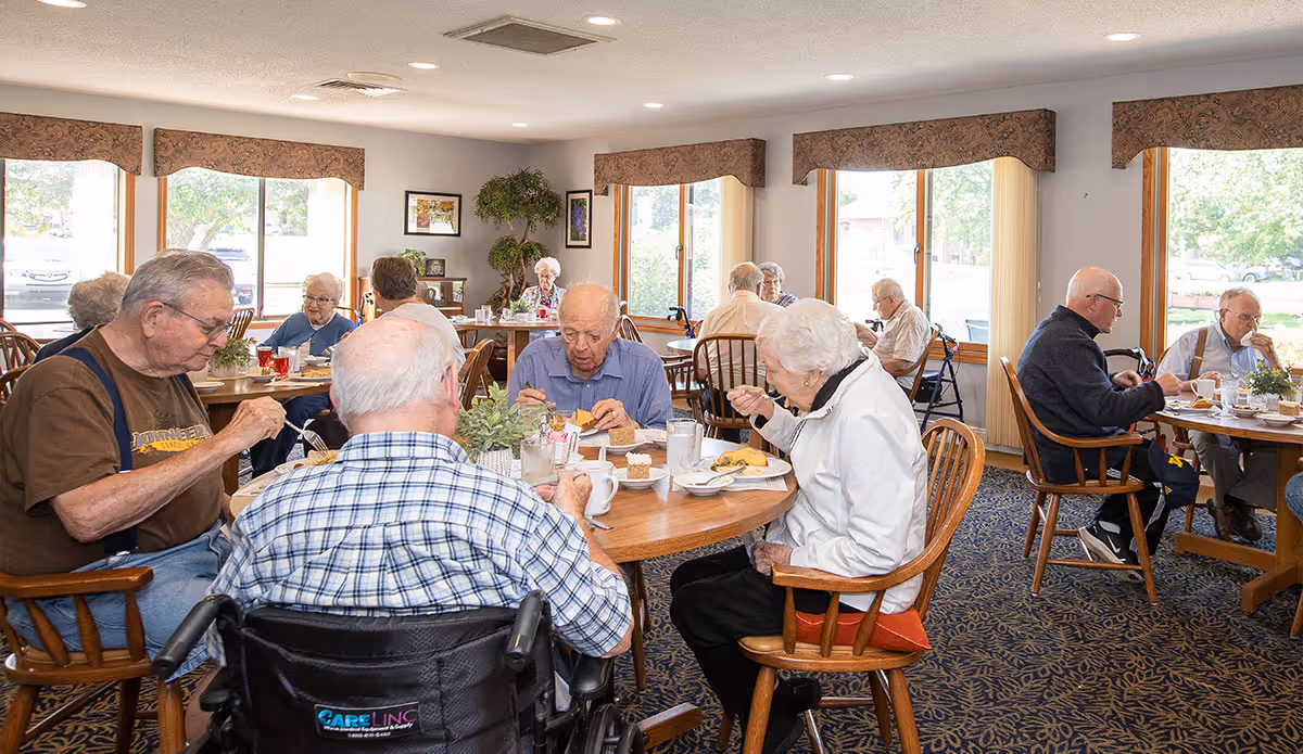 A group of elderly people sitting at round wooden tables in a bright dining room with large windows, eating and socializing. The room has patterned carpet, wooden chairs, and plants near the windows.