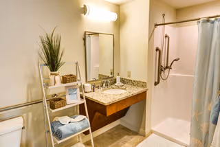 Bathroom with a granite countertop sink, a mirror above it, a white toilet, a ladder-style shelf holding towels and decorative items, and a shower with a curtain and grab bars.