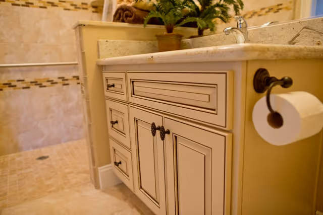 Close-up view of a bathroom vanity with cream-colored cabinets, a granite countertop, a sink with a faucet, a mounted toilet paper holder with a roll of toilet paper, and a small potted plant on the countertop. The background shows a tiled walk-in shower area with beige and brown tiles.