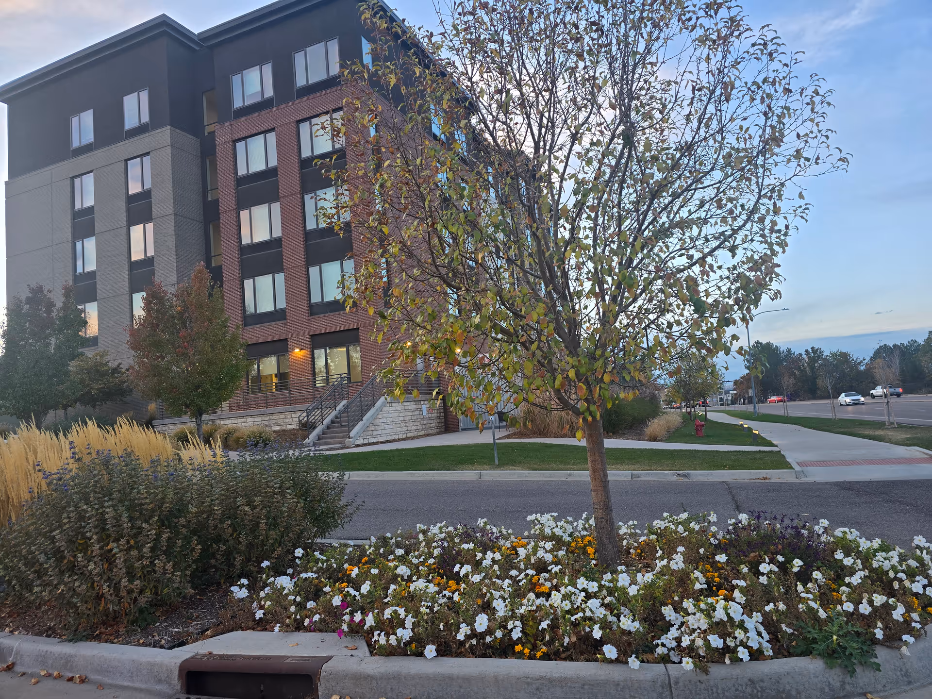 Front of a multi-story senior living building viewed from the street with a landscaped median of flowers and a small tree.