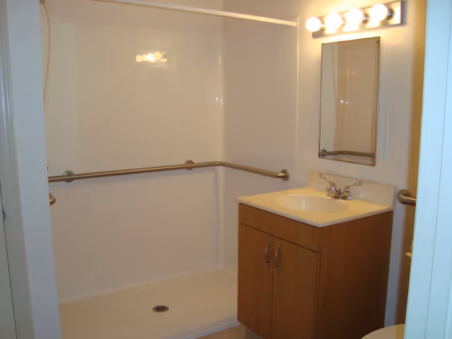 Accessible bathroom with a roll-in shower and horizontal grab bars, a small wood vanity with sink and mirror, and overhead lighting.