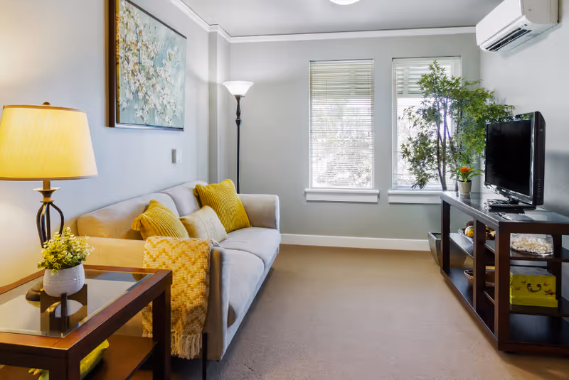 A cozy living room with a light gray sofa adorned with yellow and beige cushions and a yellow throw blanket. Next to the sofa is a wooden side table with a lamp and a small potted plant. On the opposite side, there is a dark wooden TV stand with a flat-screen TV, decorative items, and a large green plant beside it. Two windows with blinds allow natural light into the room, and a wall-mounted air conditioner is visible above the TV.