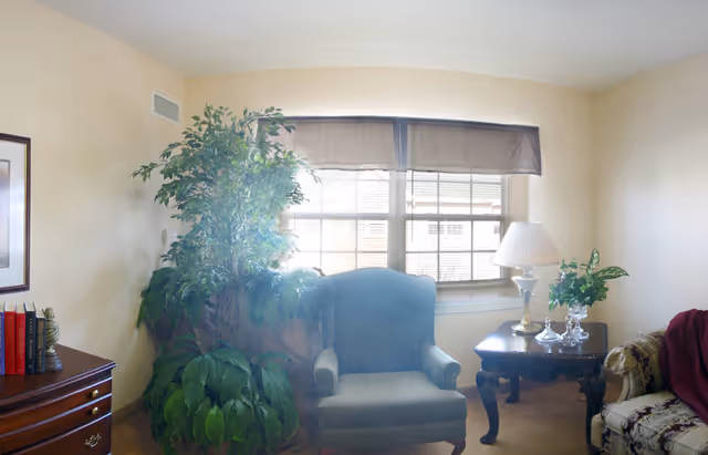 A cozy living room area with a large green armchair in front of a window with blinds and a valance. To the left of the chair is a tall leafy indoor plant, and to the right is a wooden side table with a white lamp, glass decorative items, and a small plant. Part of a floral-patterned sofa with a red throw blanket is visible on the right side. A wooden dresser with books and a small decorative item is on the left side of the image.
