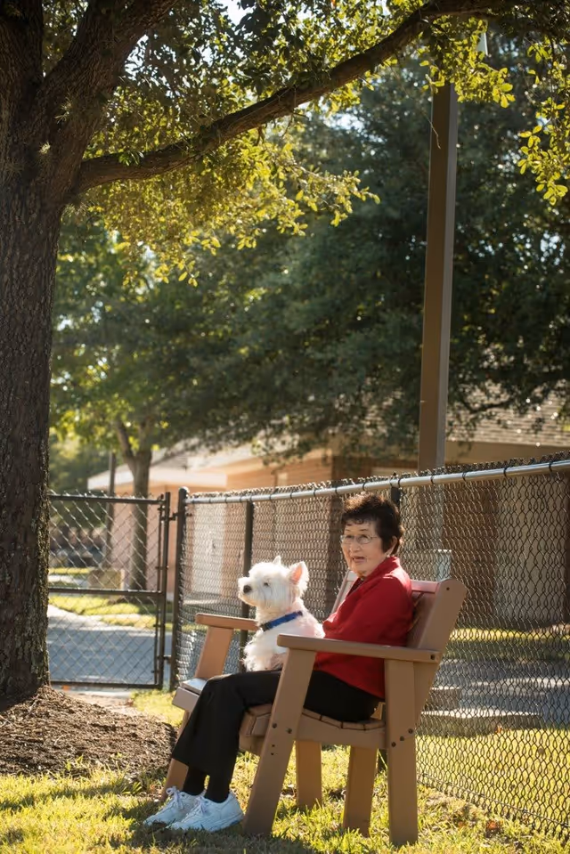 An elderly woman wearing a red jacket and black pants sits on a wooden bench outdoors next to a white dog. They are near a chain-link fence with trees and a building in the background, enjoying a sunny day.