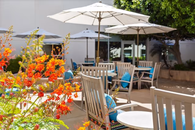 Outdoor patio area with wooden chairs and tables, some with blue cushions, shaded by large white umbrellas. Bright orange flowers and green foliage are in the foreground, with a building and trees in the background.