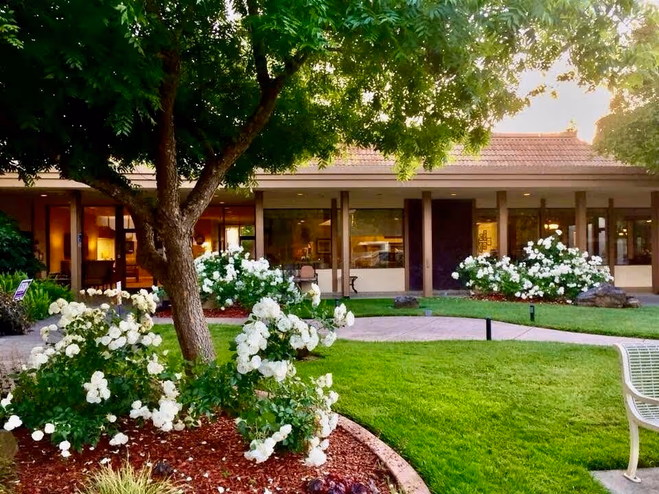 Front exterior of The Inn on Villa Lane featuring a manicured lawn, blooming white roses, and a tree in front of the building.